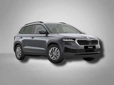 Bild Skoda Karoq