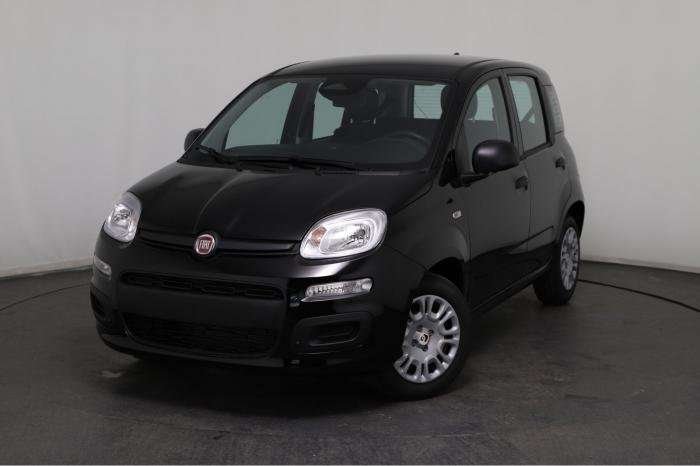 Fahrzeugbild eines Fiat Panda