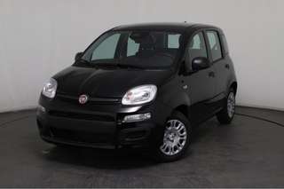 Schräge Frontansicht auf einen Fiat Panda , freigestellt