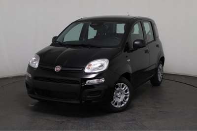 Bild Fiat Panda