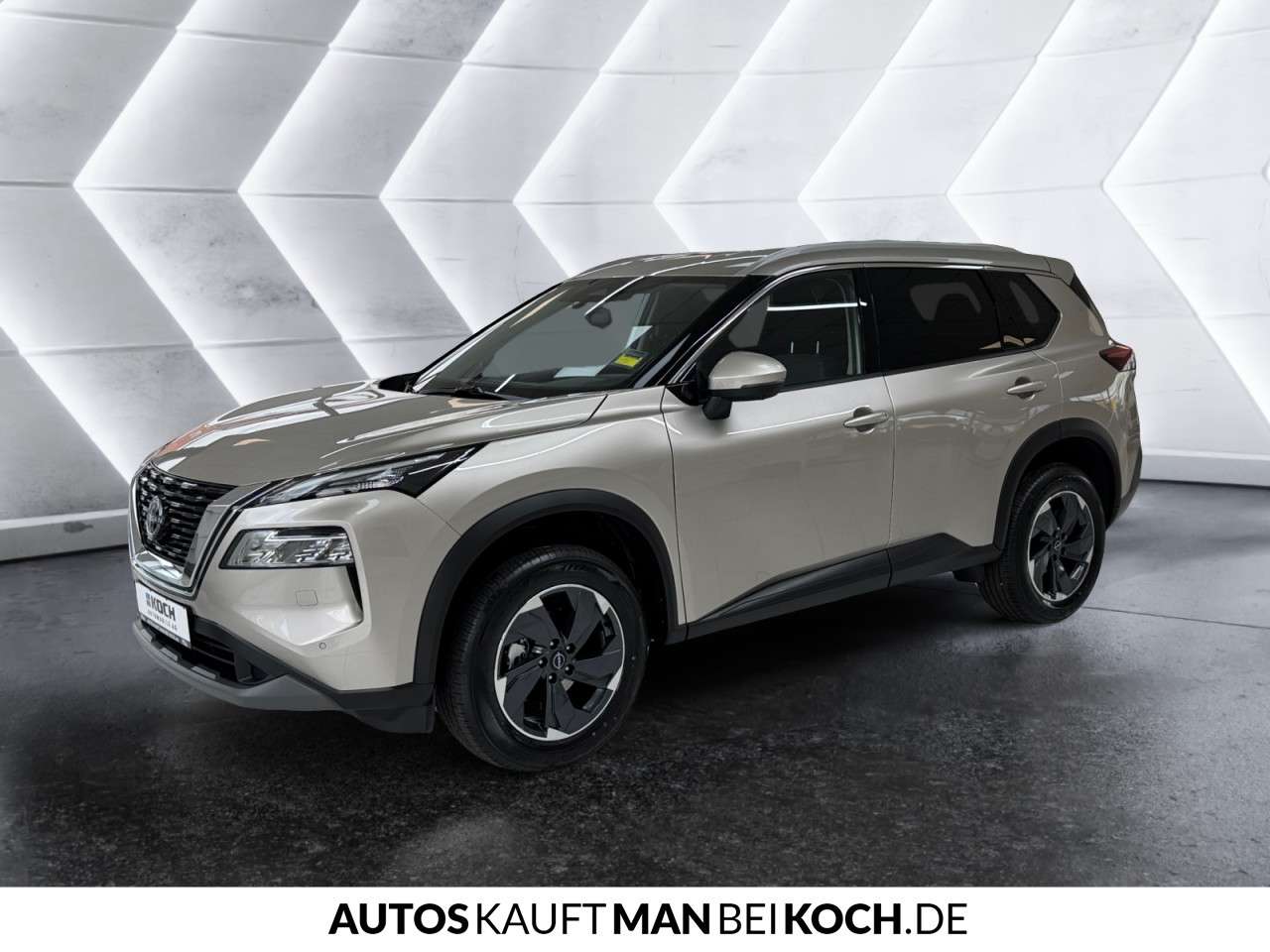 Fahrzeugbild eines Nissan X-TRAIL