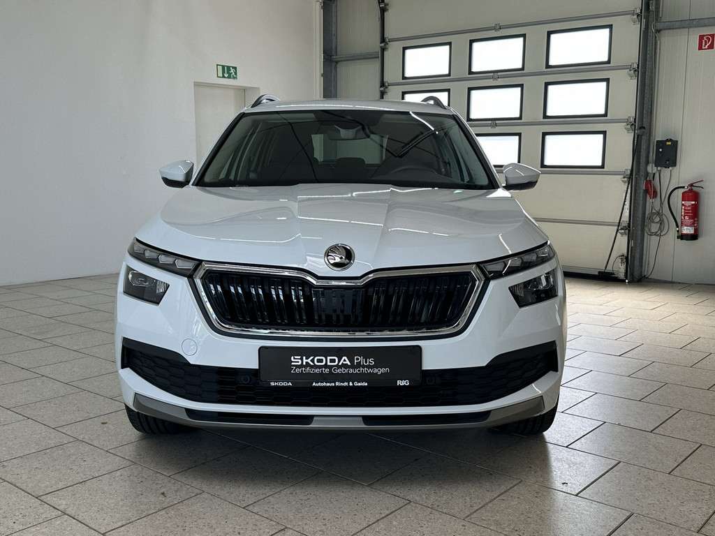 Fahrzeugbild eines Skoda Kamiq