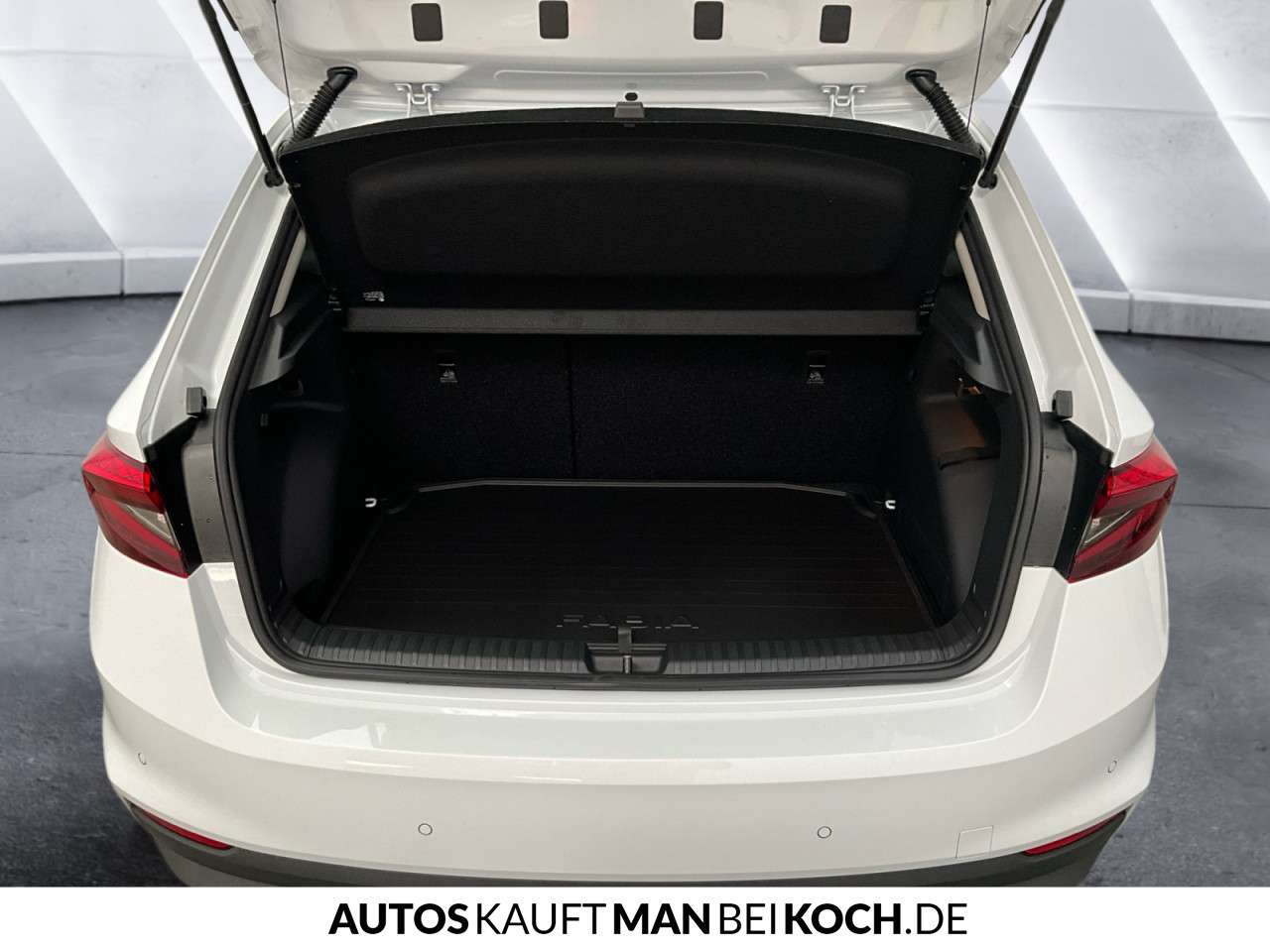 Fahrzeugbild eines Skoda Fabia