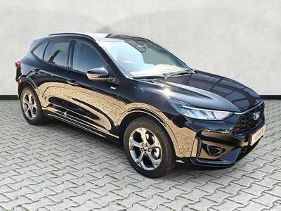 Bild Ford Kuga