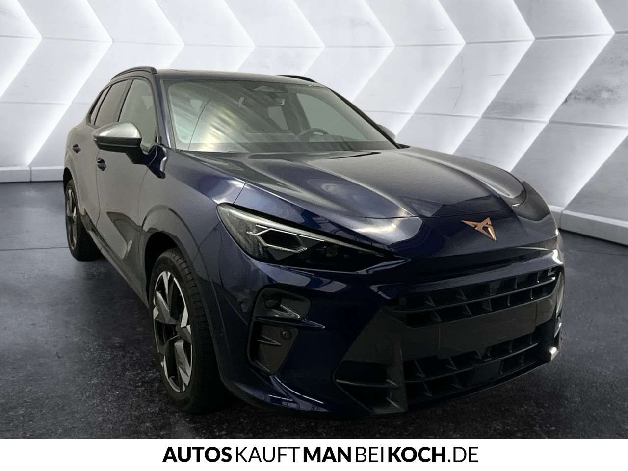 Fahrzeugbild eines CUPRA Terramar