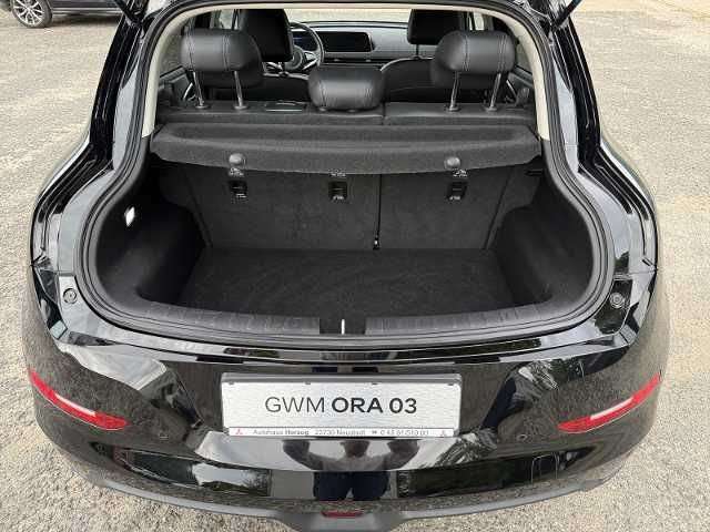 Fahrzeugbild eines GWM Ora 03