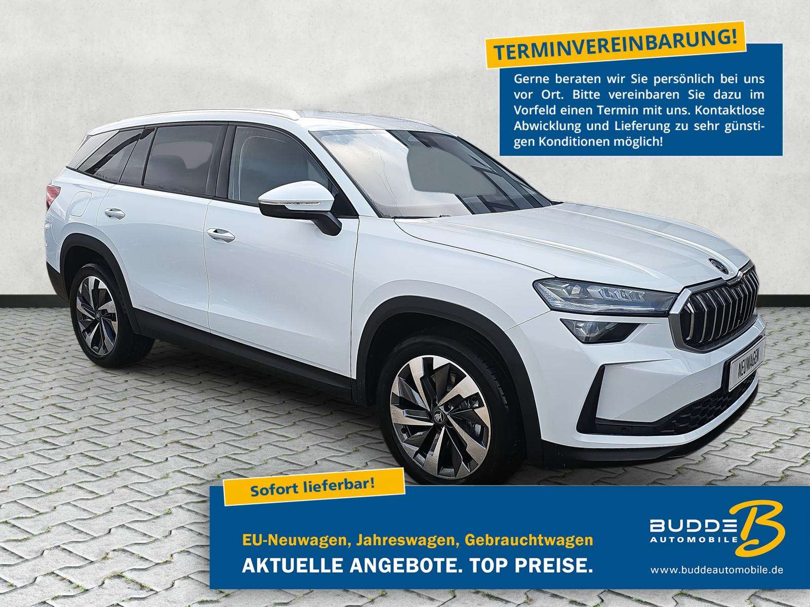 Fahrzeugbild eines Skoda Kodiaq