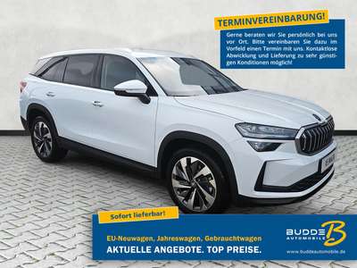 Bild Skoda Kodiaq