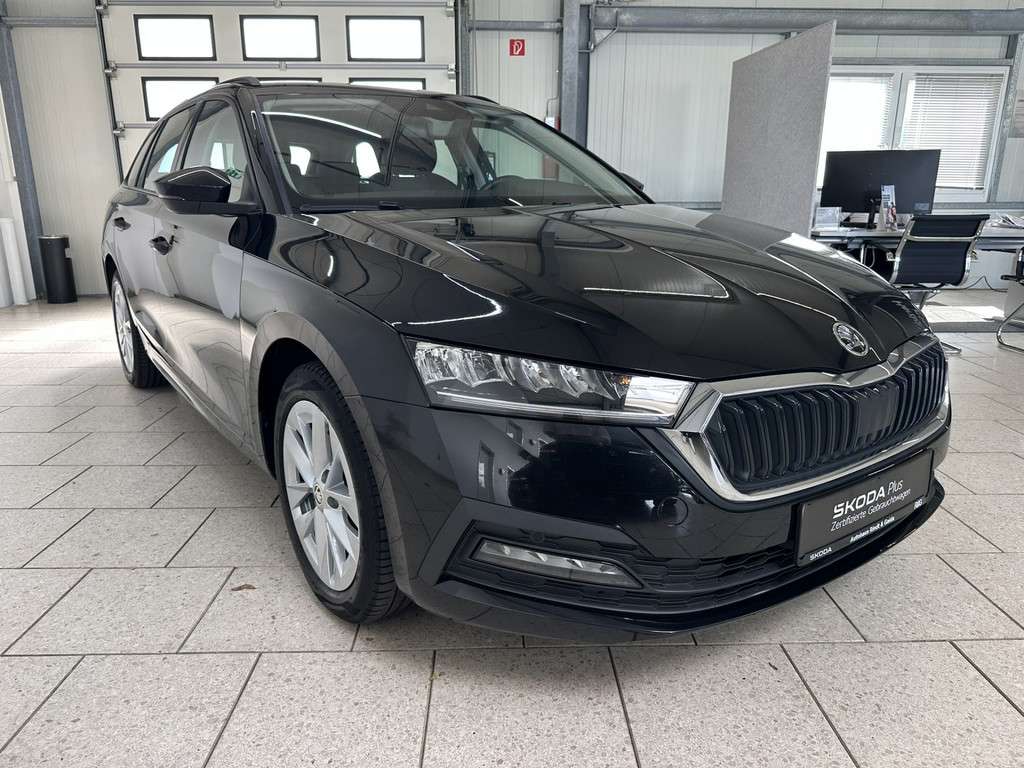 Fahrzeugbild eines Skoda Octavia