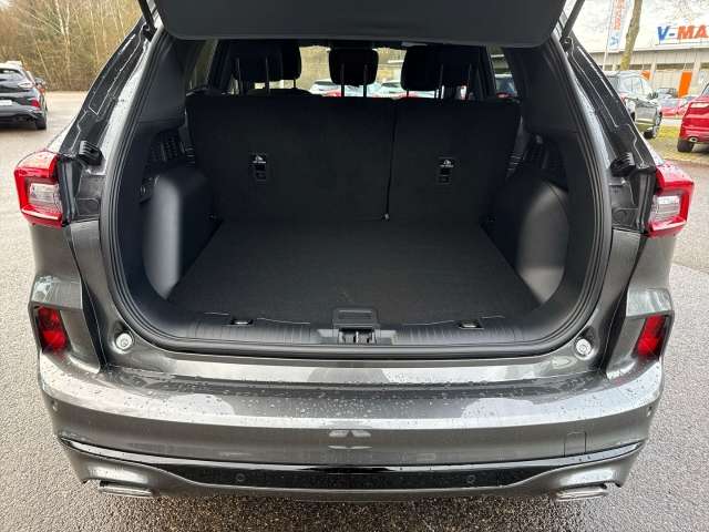Fahrzeugbild eines Ford Kuga