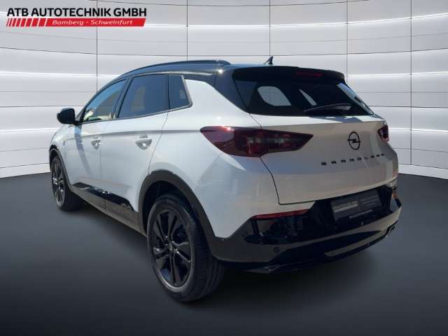 Fahrzeugbild eines Opel Grandland X