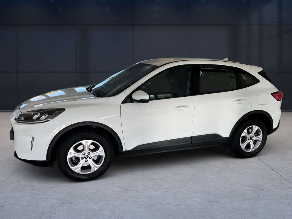 Fahrzeugbild eines Ford Kuga