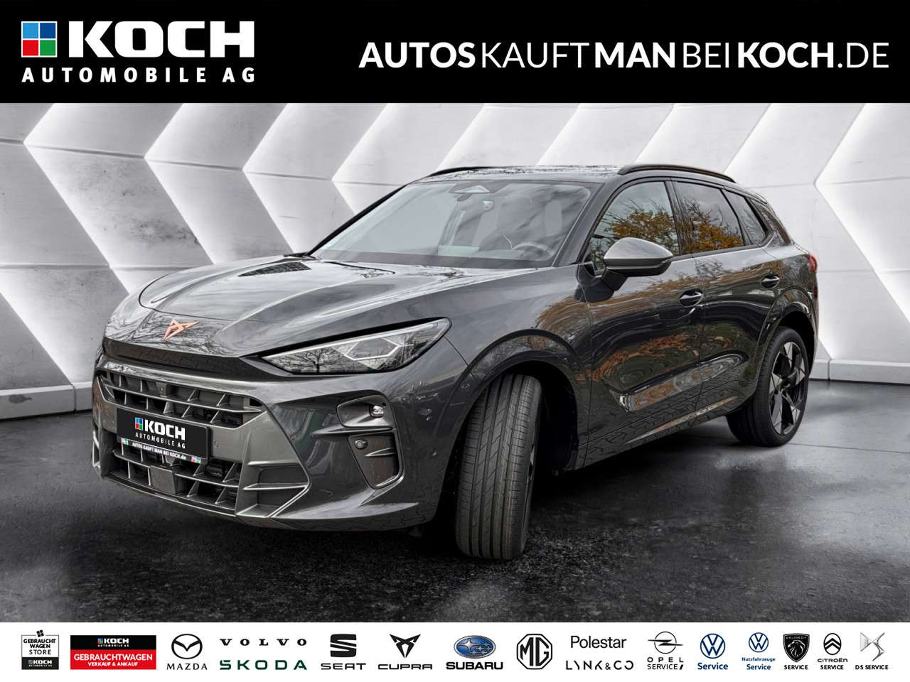 Fahrzeugbild eines CUPRA Terramar