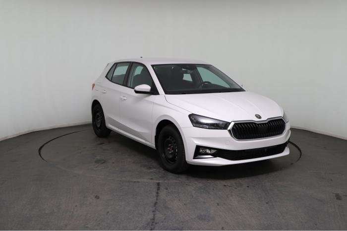Fahrzeugbild eines Skoda Fabia