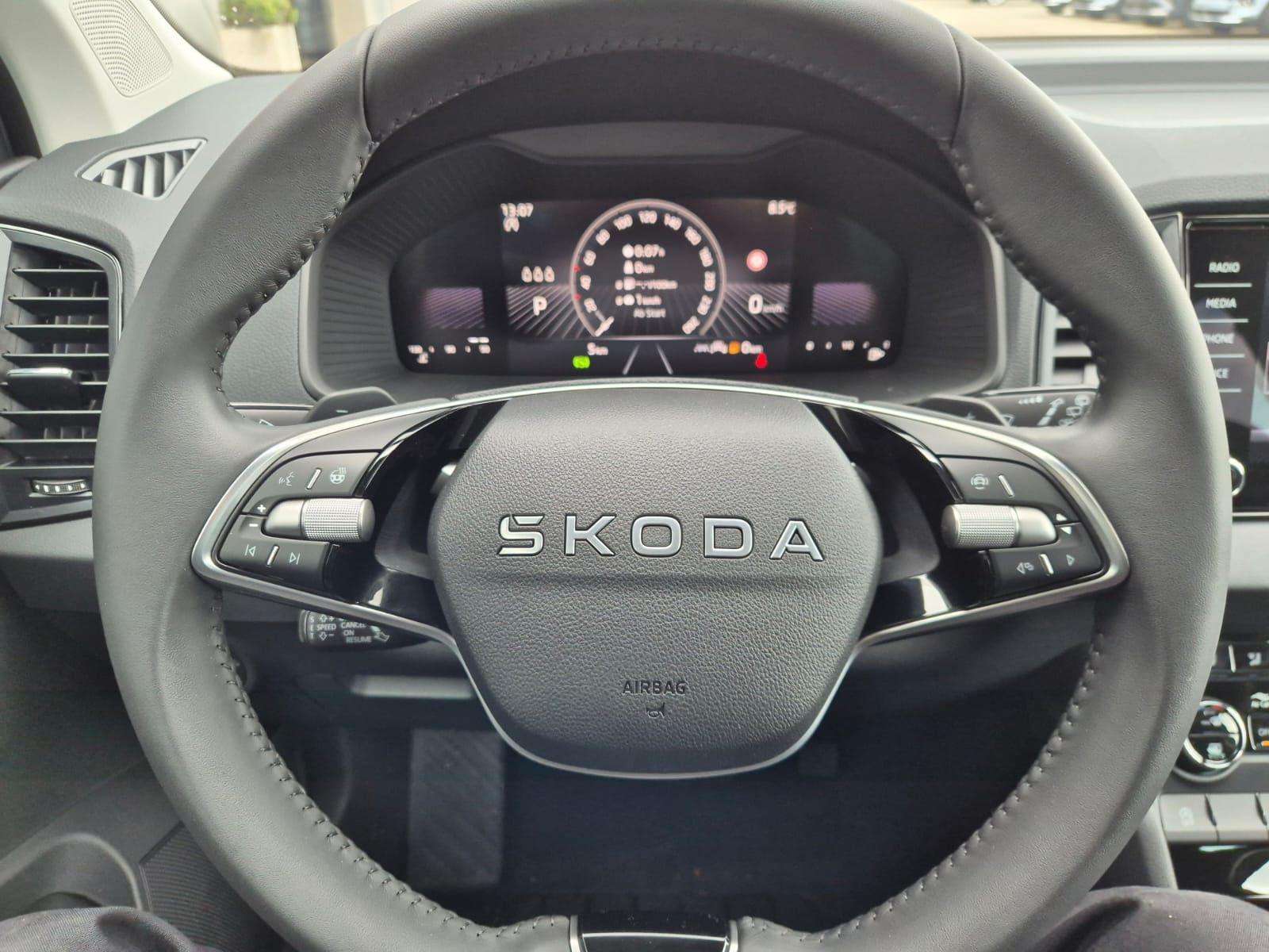 Fahrzeugbild eines Skoda Karoq