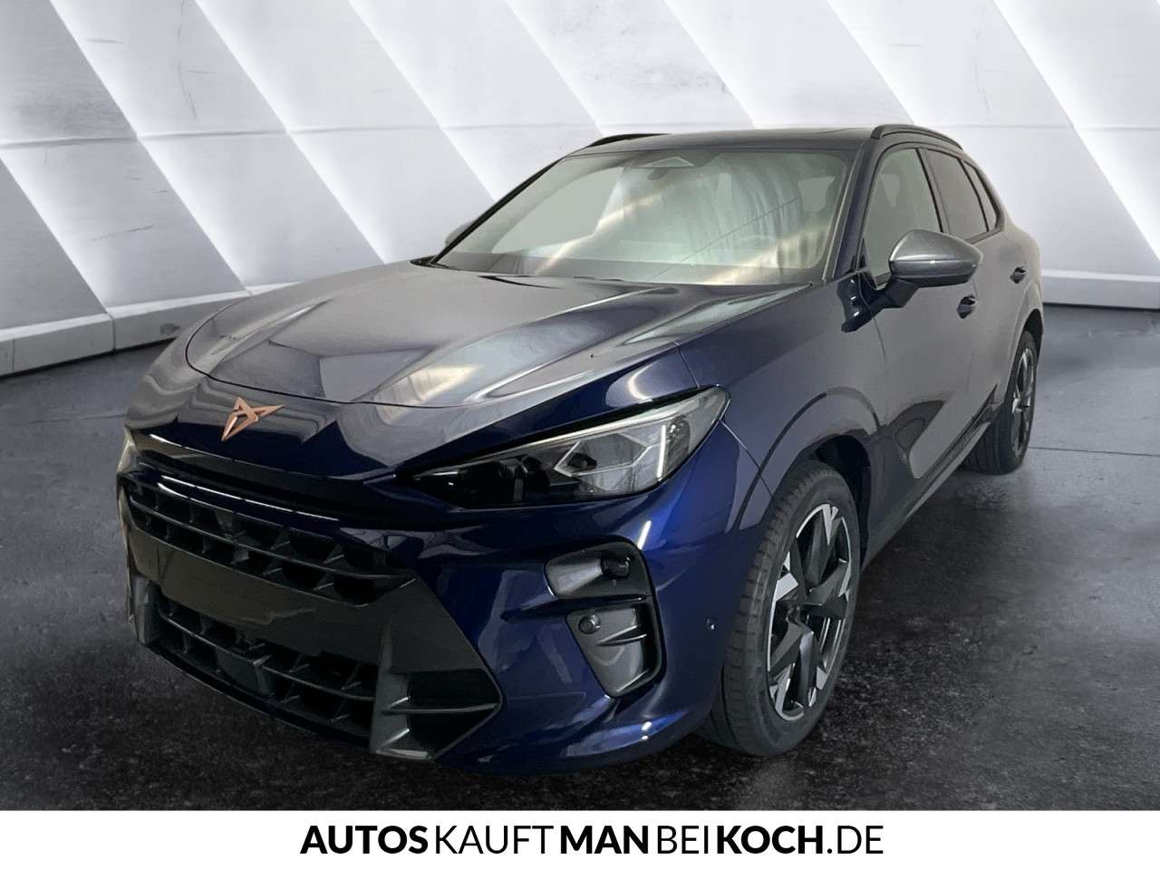 Fahrzeugbild eines CUPRA Terramar