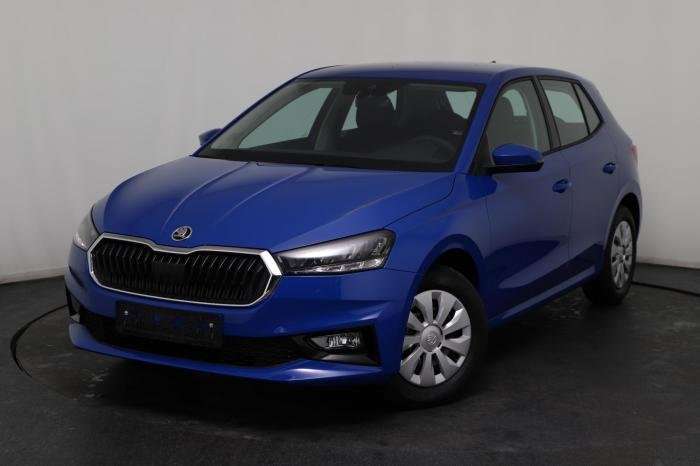 Fahrzeugbild eines Skoda Fabia