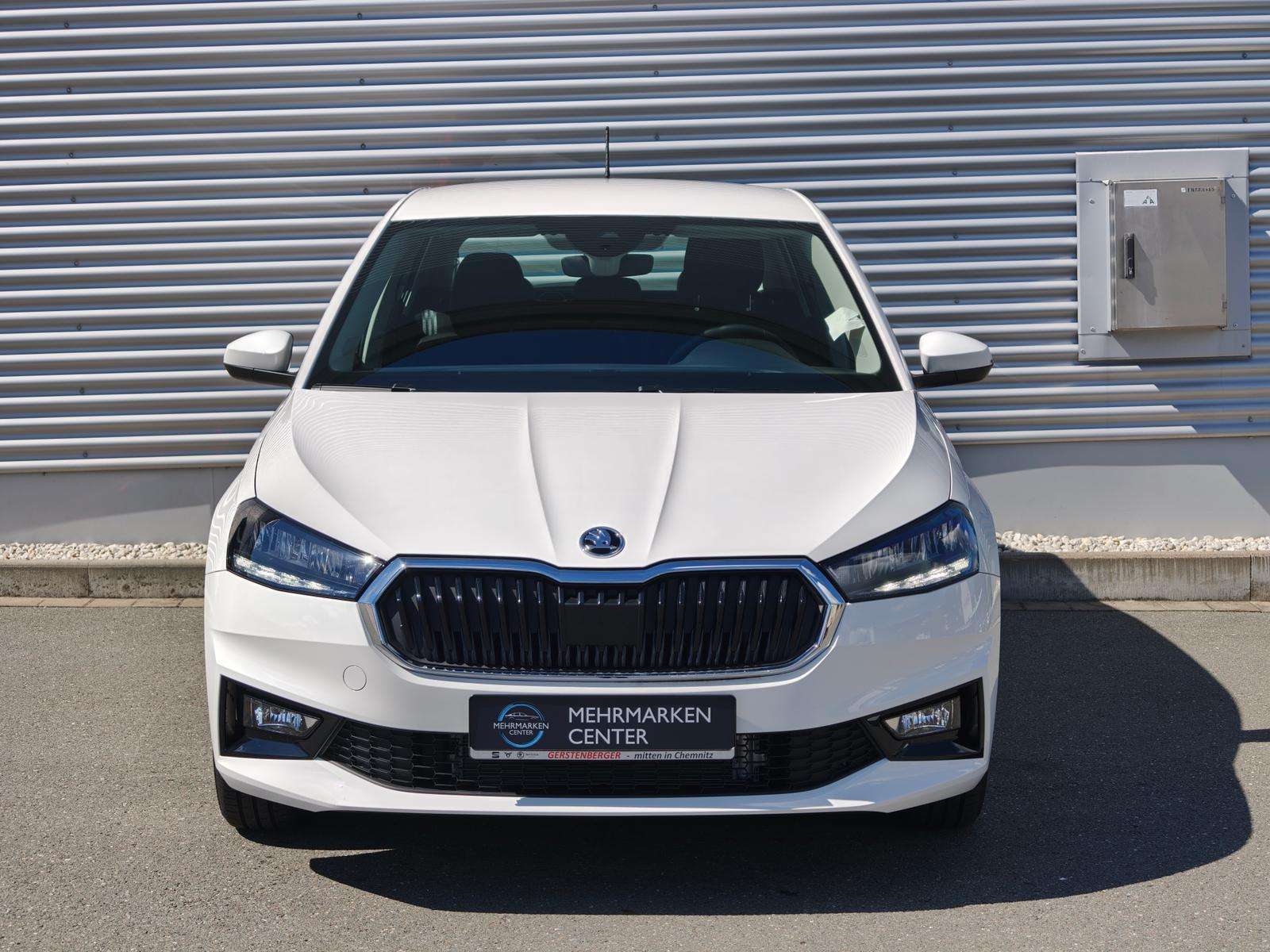 Fahrzeugbild eines Skoda Fabia