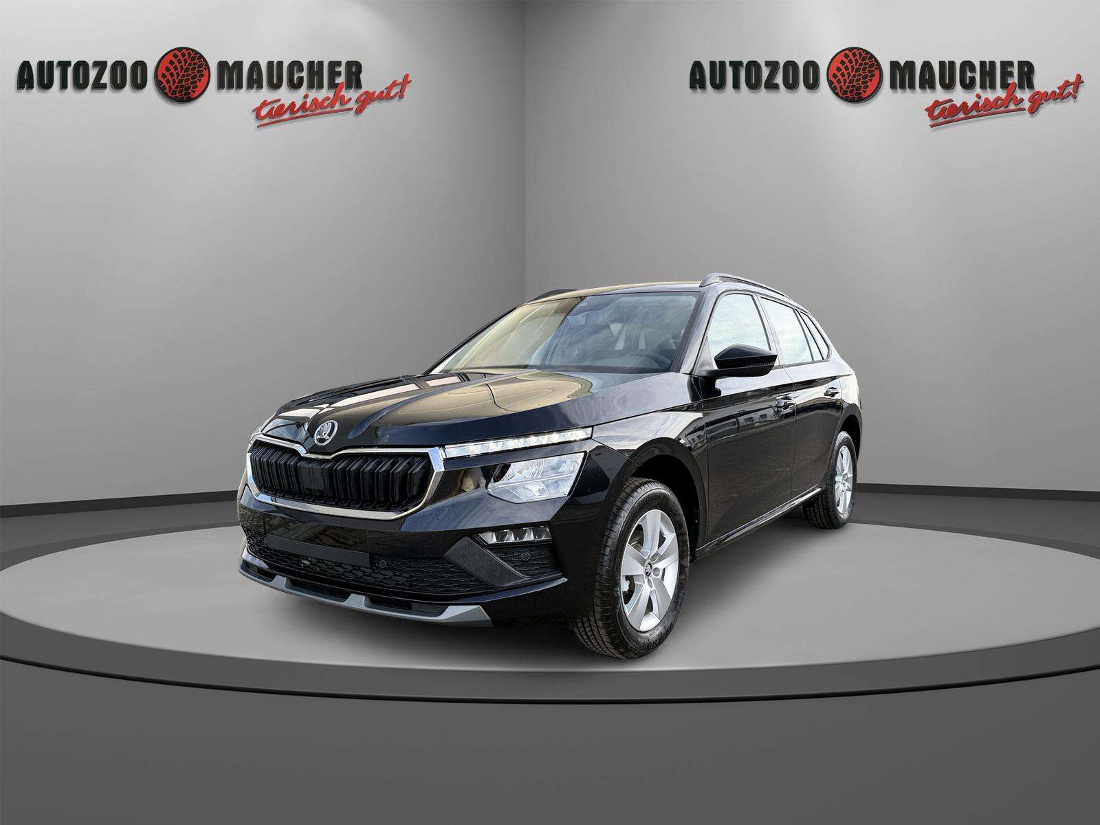 Fahrzeugbild eines Skoda Kamiq