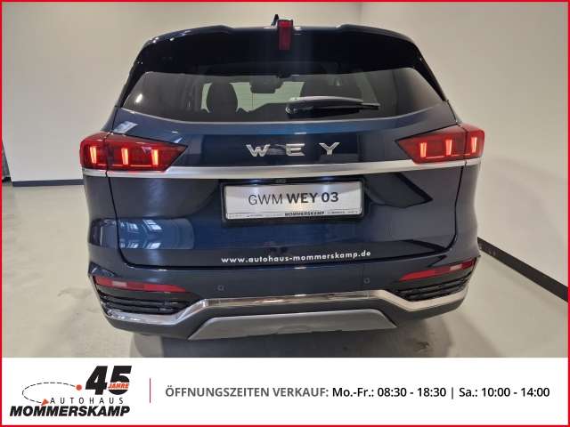 Fahrzeugbild eines GWM Wey 03