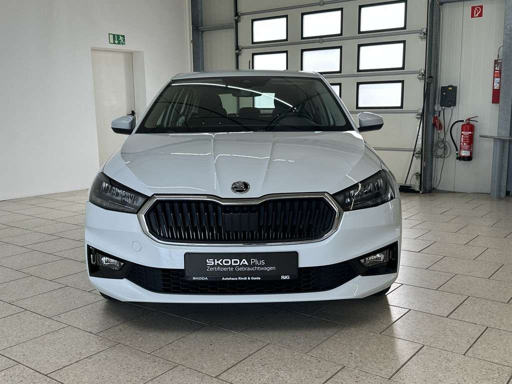 Fahrzeugbild eines Skoda Fabia