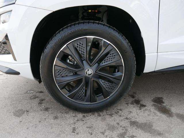 Fahrzeugbild eines Skoda Karoq