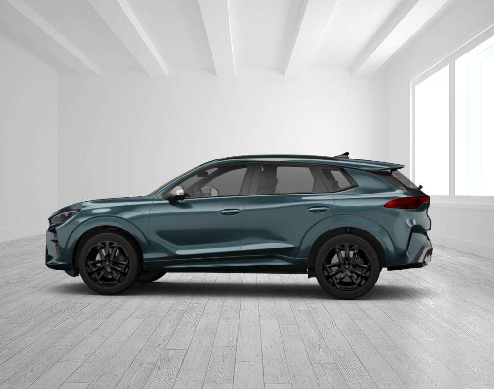 Fahrzeugbild eines CUPRA Terramar