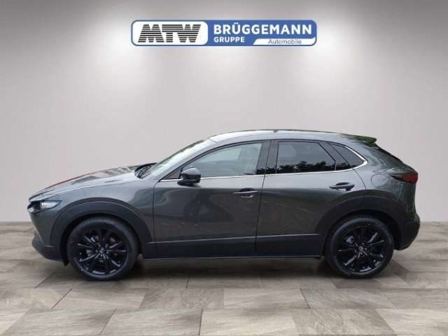 Fahrzeugbild eines Mazda CX-30