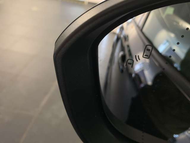 Fahrzeugbild eines Renault Austral