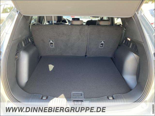 Fahrzeugbild eines Ford Kuga