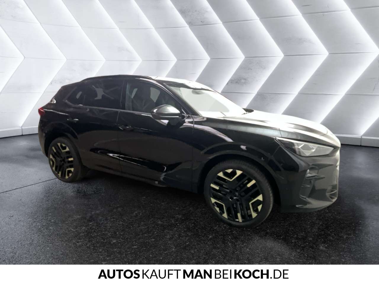 Fahrzeugbild eines CUPRA Terramar