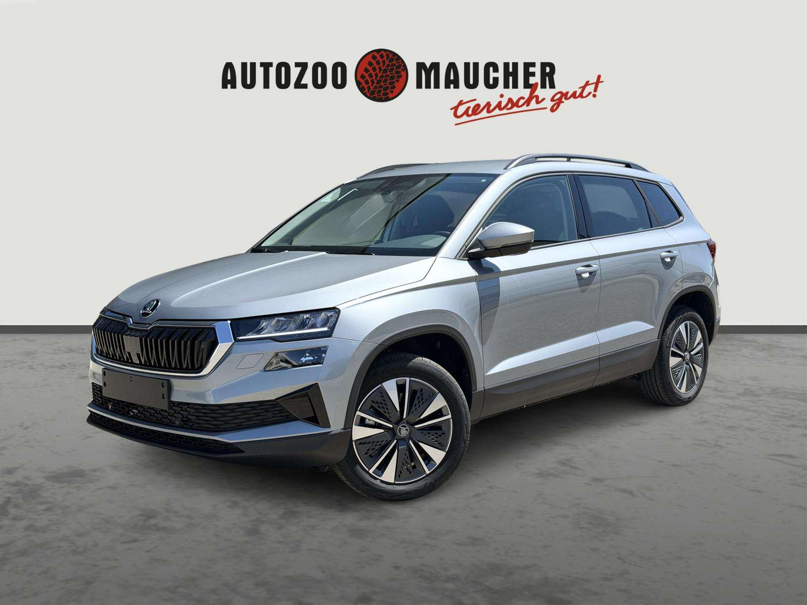 Fahrzeugbild eines Skoda Karoq