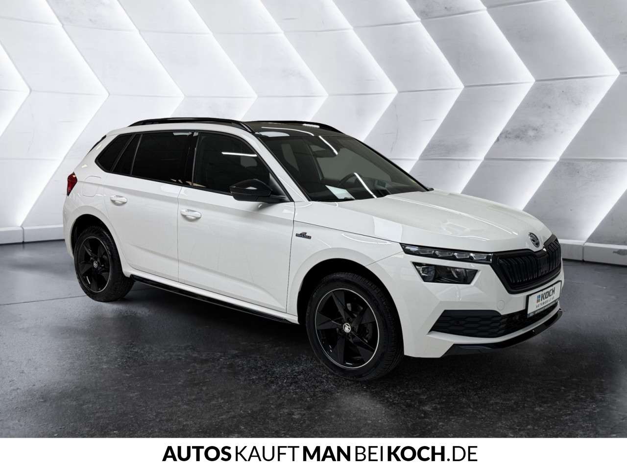 Fahrzeugbild eines Skoda Kamiq