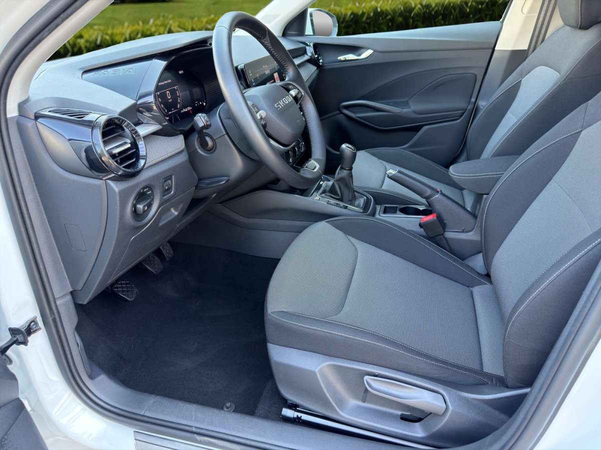 Fahrzeugbild eines Skoda Fabia