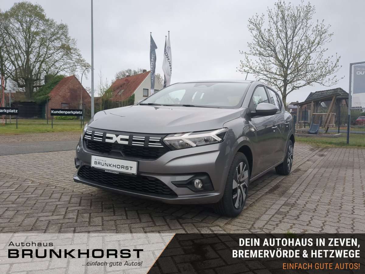 Fahrzeugbild eines Dacia Sandero