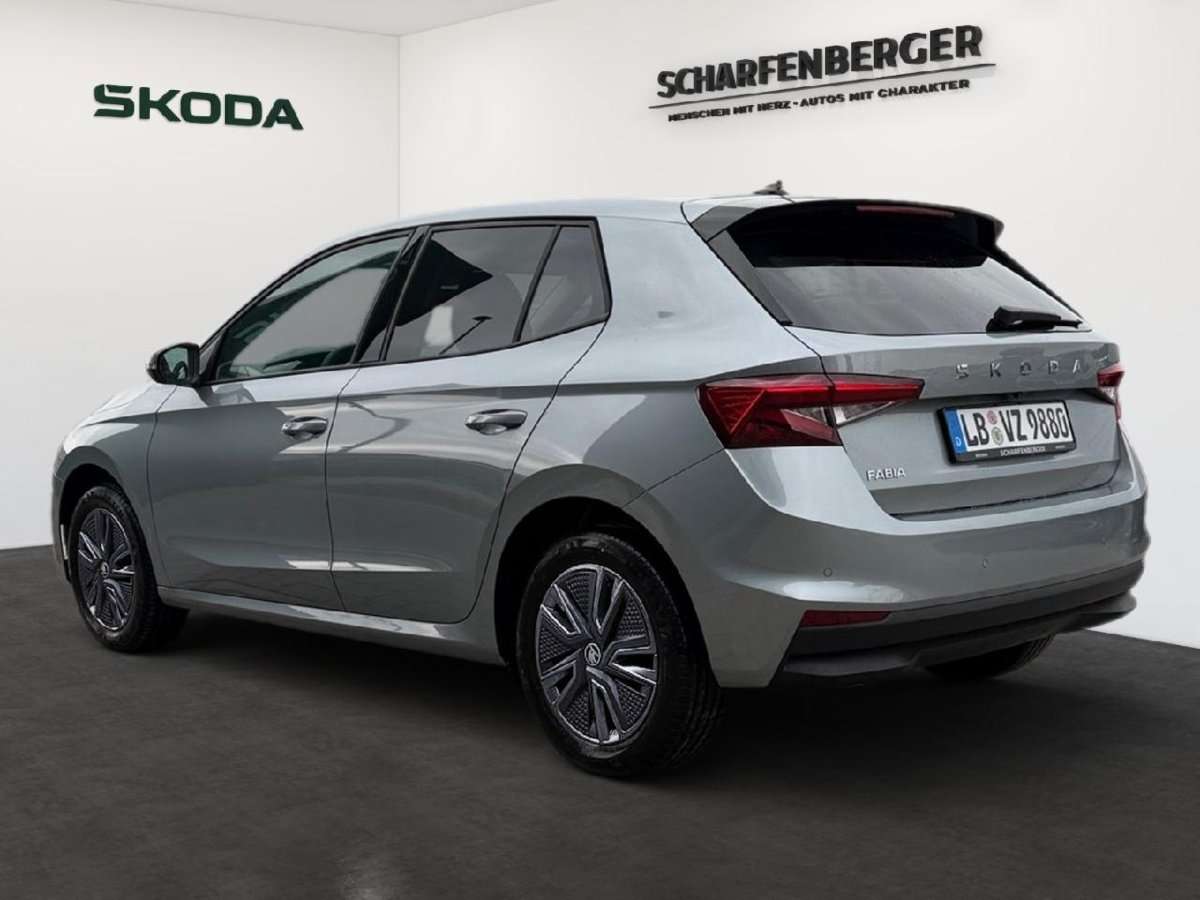 Fahrzeugbild eines Skoda Fabia