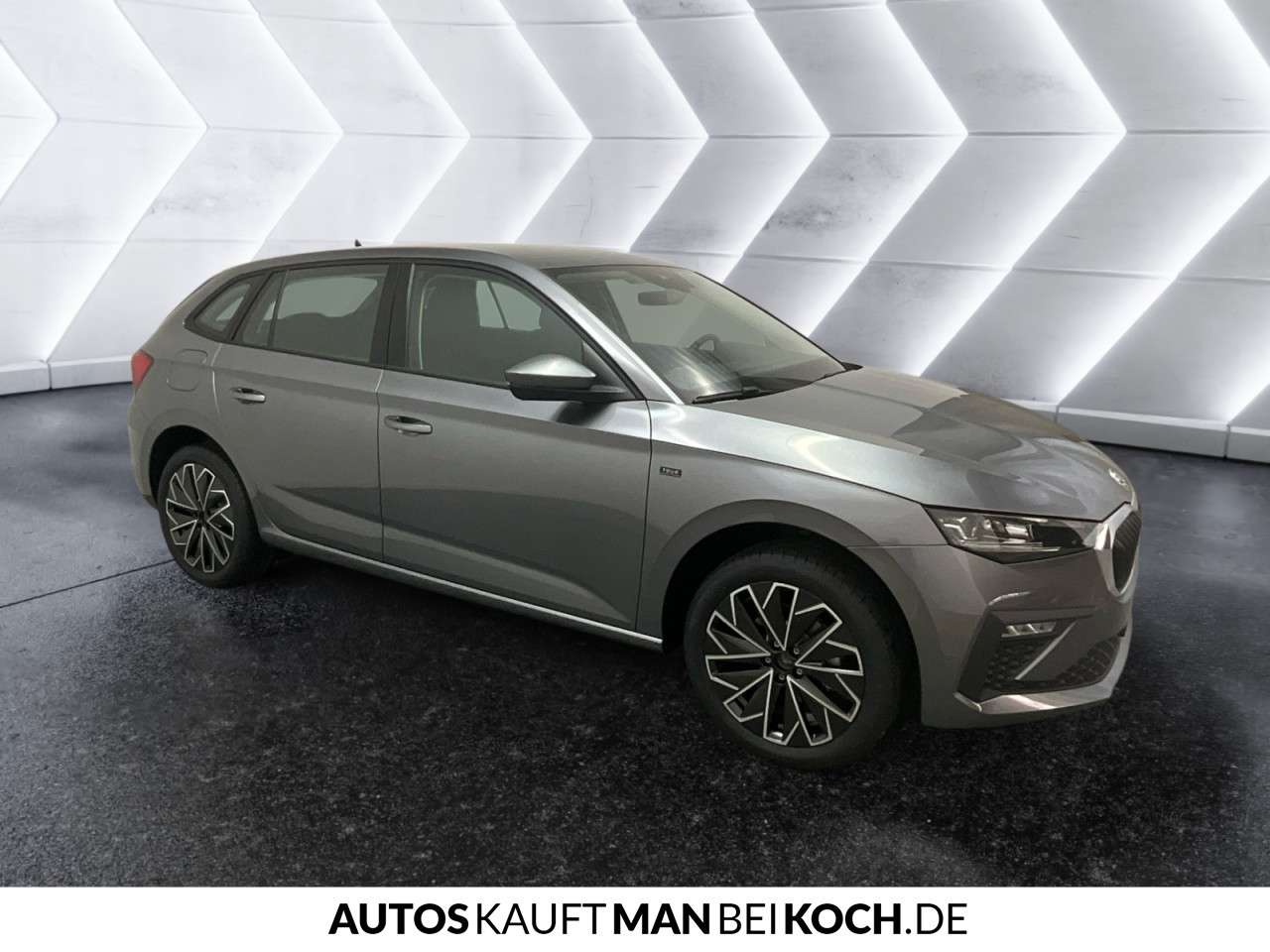 Fahrzeugbild eines Skoda Scala