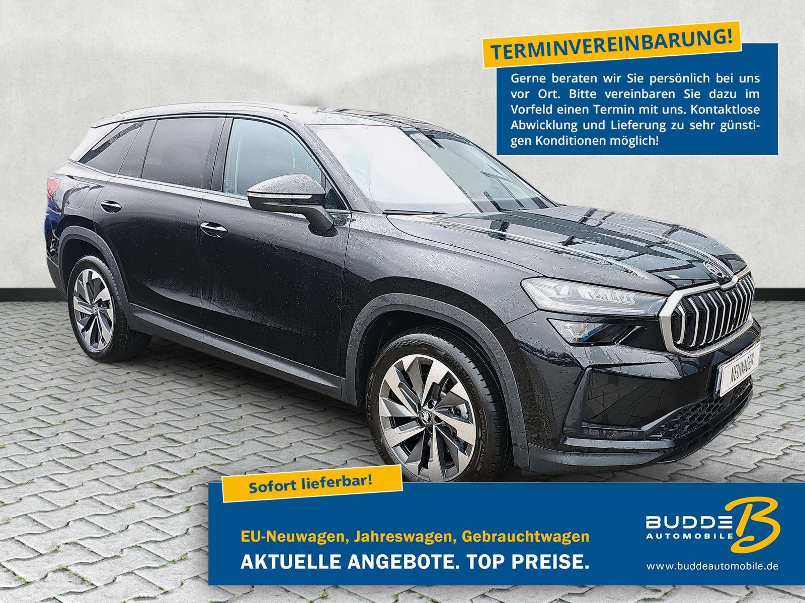 Fahrzeugbild eines Skoda Kodiaq