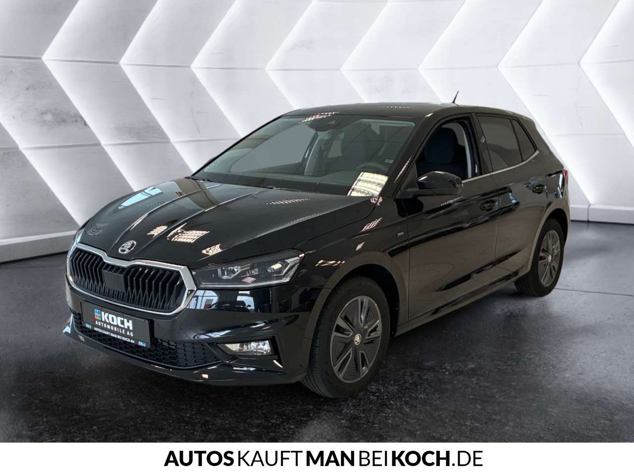 Fahrzeugbild eines Skoda Fabia