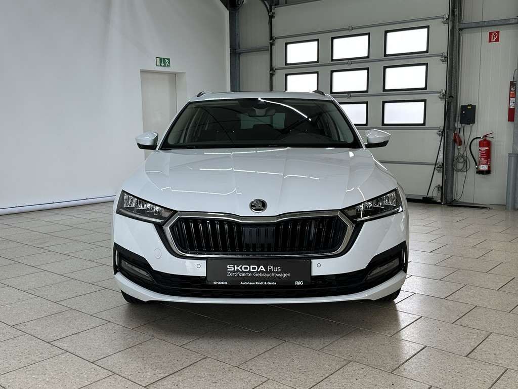Fahrzeugbild eines Skoda Octavia