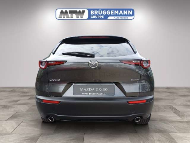 Fahrzeugbild eines Mazda CX-30