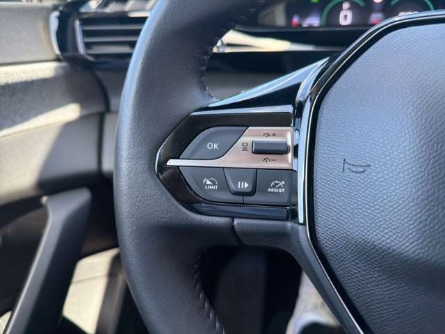 Fahrzeugbild eines Peugeot 308