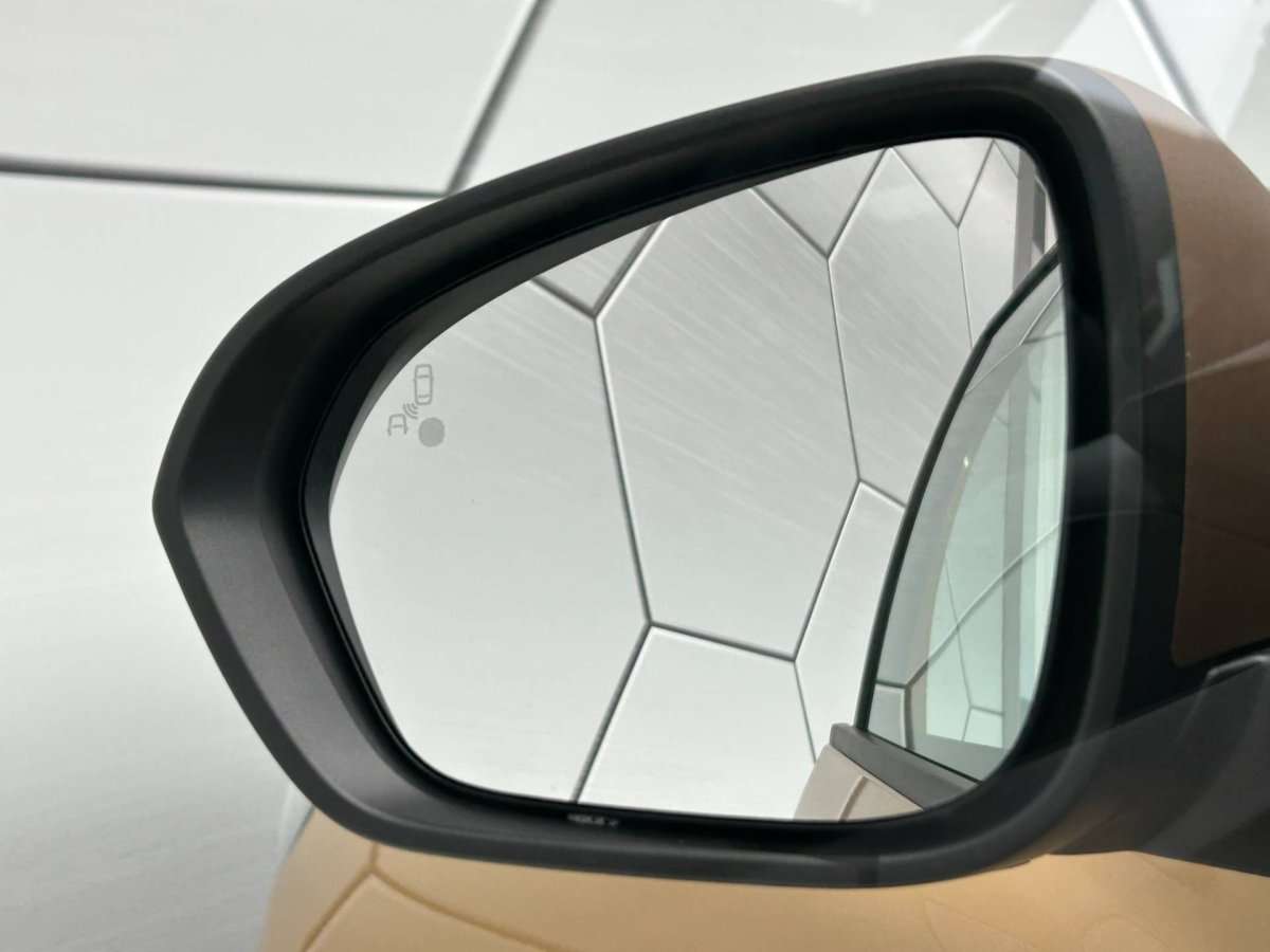 Fahrzeugbild eines Dacia Sandero