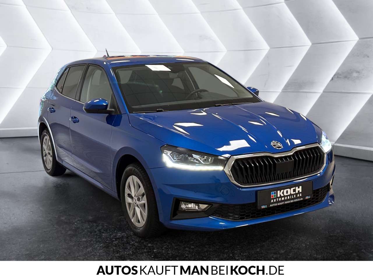 Fahrzeugbild eines Skoda Fabia