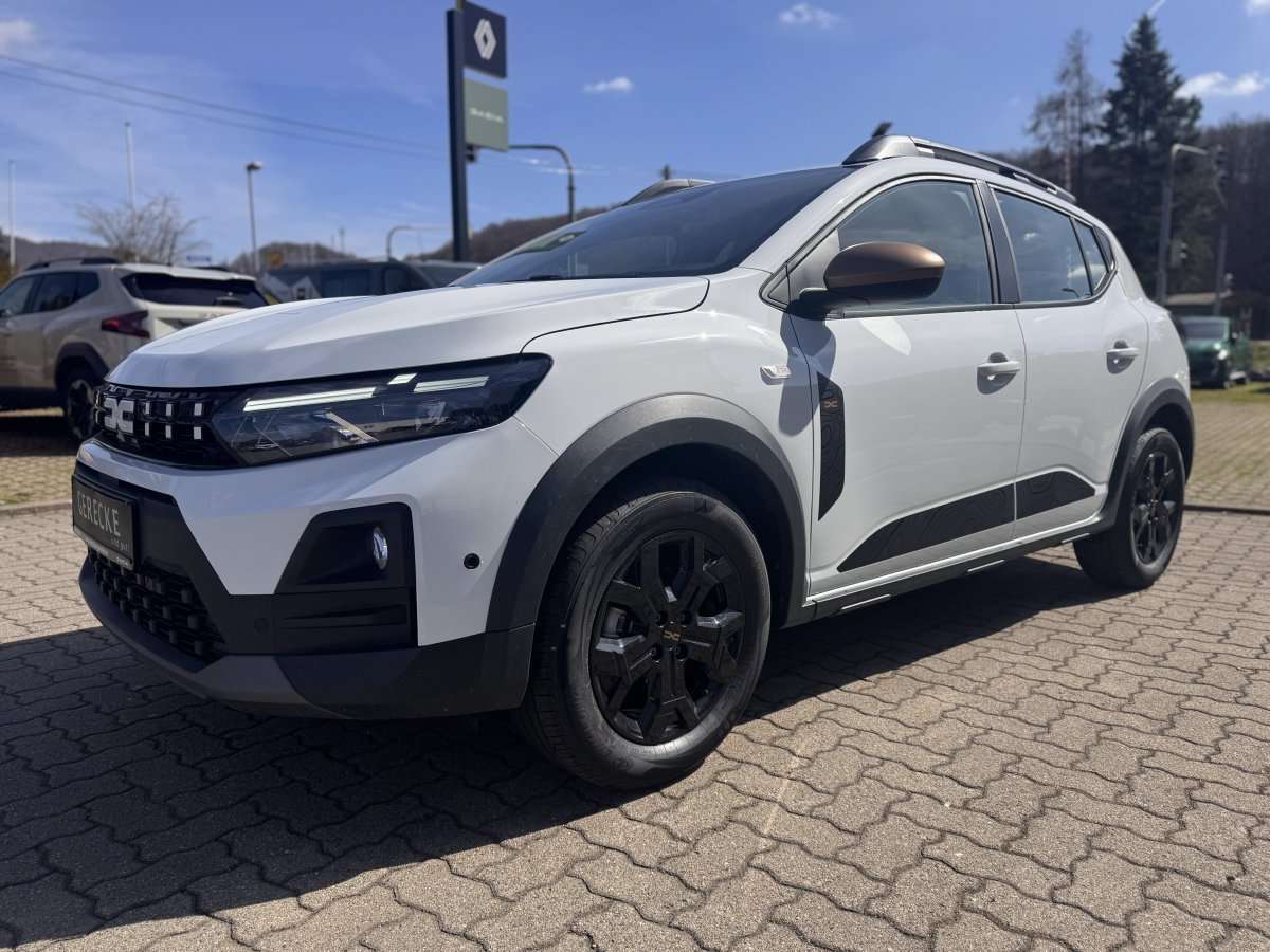 Fahrzeugbild eines Dacia Sandero