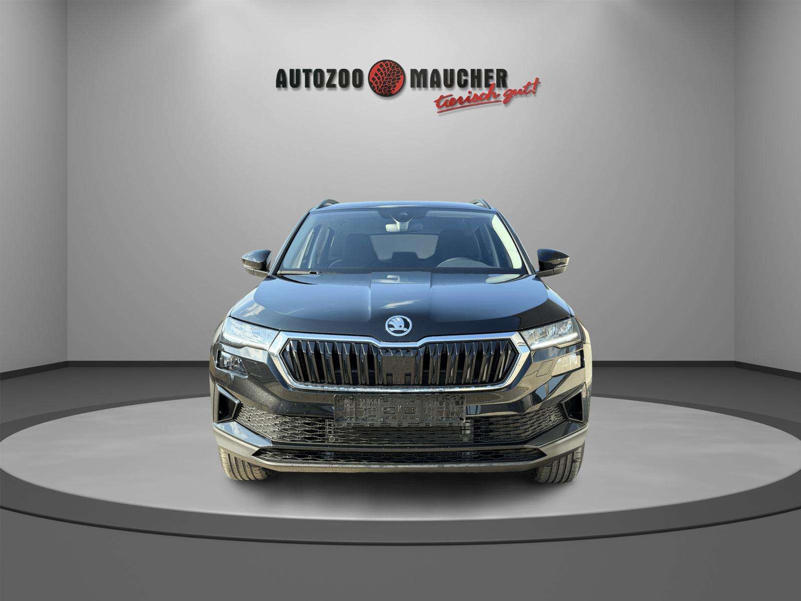 Fahrzeugbild eines Skoda Karoq