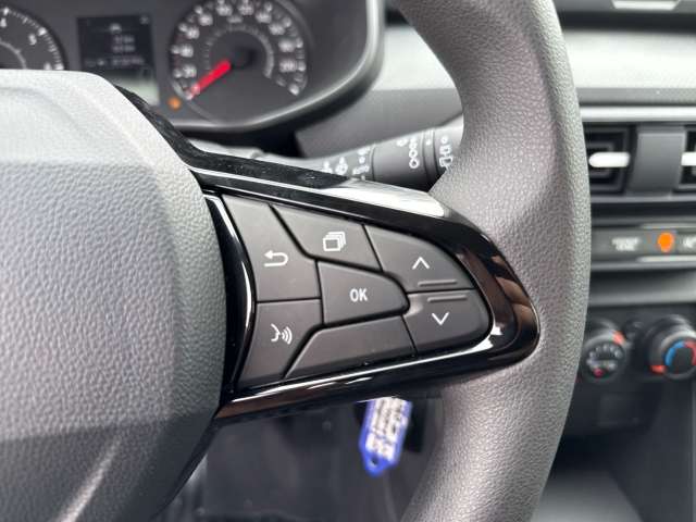 Fahrzeugbild eines Dacia Sandero