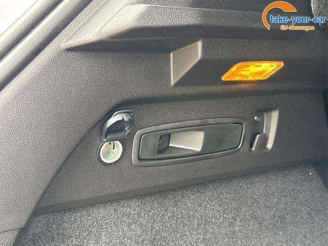 Fahrzeugbild eines Renault Austral