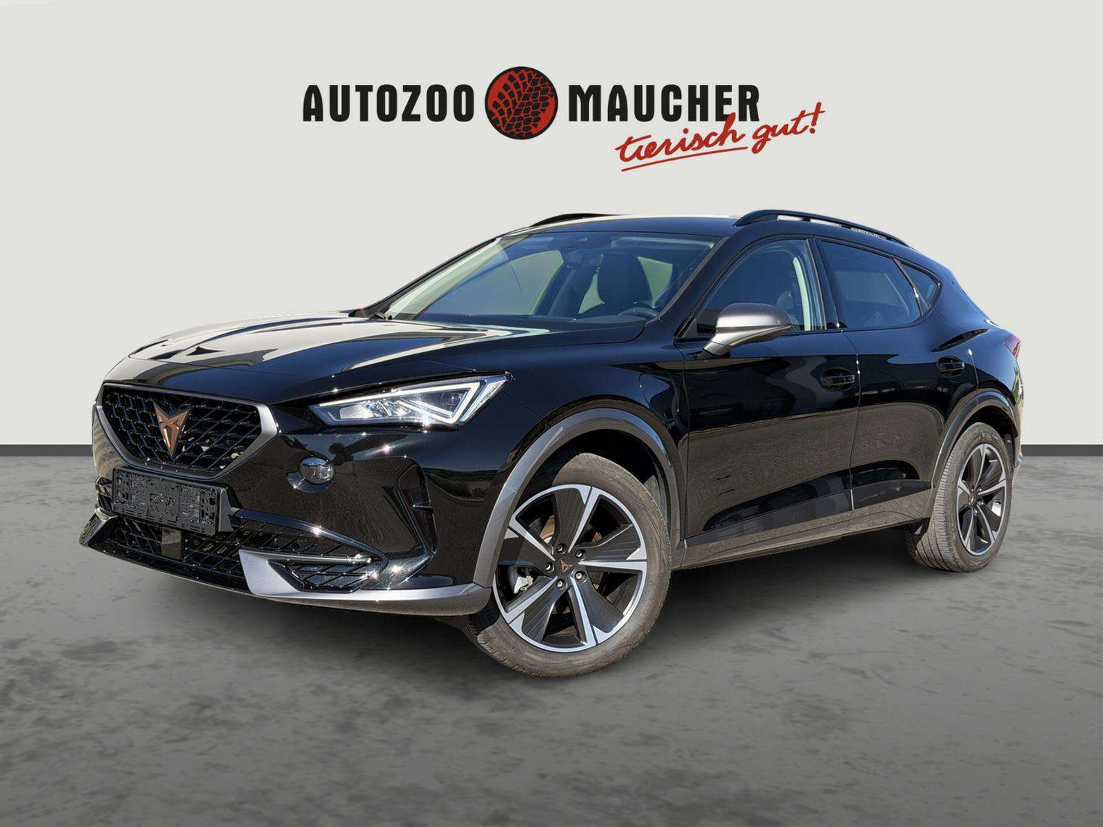 Fahrzeugbild eines CUPRA Formentor
