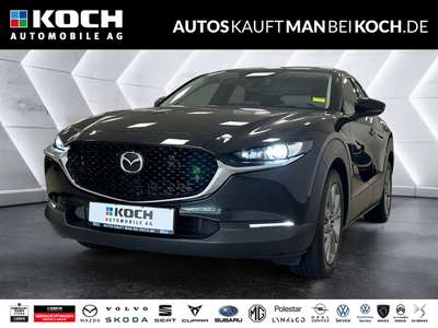 Bild Mazda CX-30